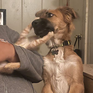 Meet your Posher, Arlett